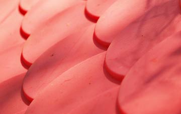 Week Green plastic roof costs